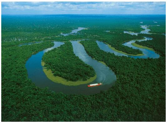 State of Amazonas